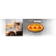 Southeast Texas AAA Vacuum Truck & Port-A-Can Service