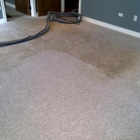 Bulldog Carpet Cleaning