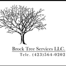 Brocks Tree Service - Tree Service