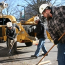 Schneider Tree Care - Arborists