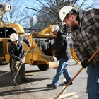 Schneider Tree Care