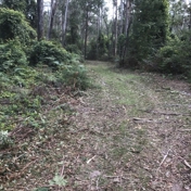 Gallery Image Number 7
