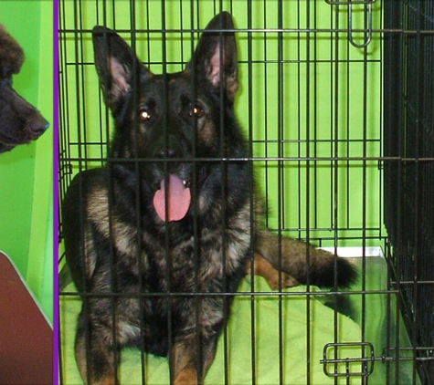 Leanne's Passion Pet Salon - Greystanes, NSW