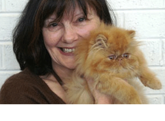Canterbury Tails Boutique Boarding Cattery - Belgrave, VIC