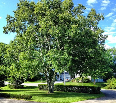 Seasons of Smiles Dental - Camden, ME