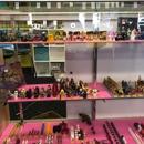 Bricks and Minifigs