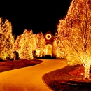 Creative Decorating - Holiday Lights & Decorations