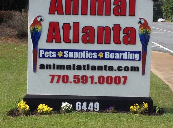 Animal Atlanta - Woodstock, GA