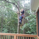 Bledsoe Tree Service - Tree Service