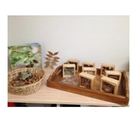 Wagga Wagga Early Years Learning Centre - Turvey Park, NSW