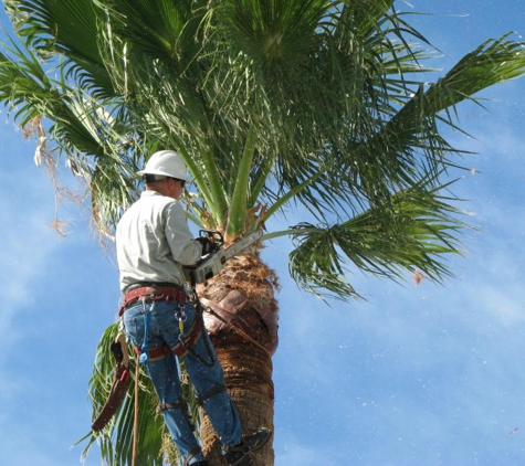 Superscapes Inc. - Casselberry, FL