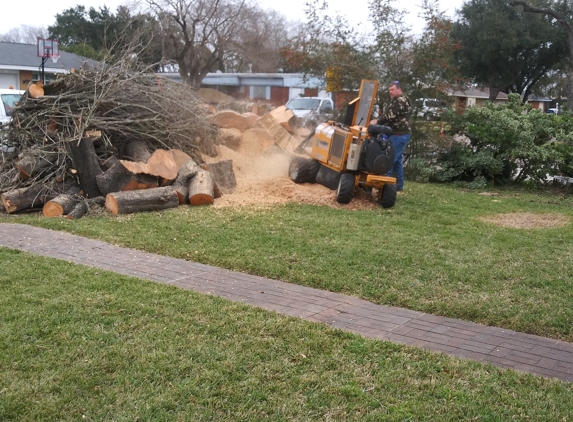 PAULS TREE SERVICE - Dickinson, TX