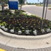 Merit Landscape Solutions of Texas gallery
