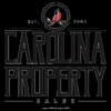 Carolina Property Sales Topsail gallery