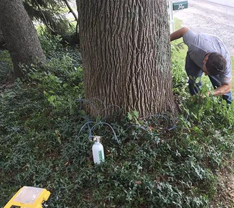 Top Notch Tree Care