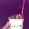 Nuberri Frozen Yogurt gallery