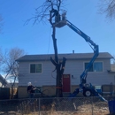 Noland Land & Tree