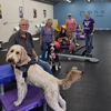New Era Dog Training gallery