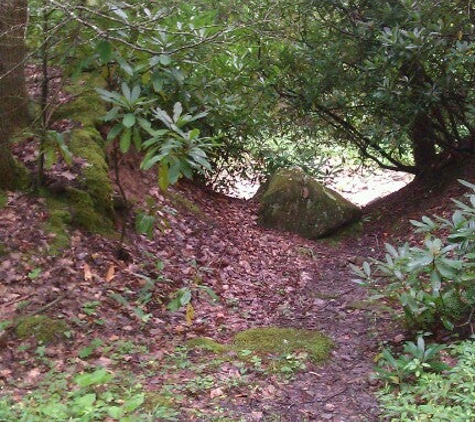 Camp Creek State Park & Forest - Camp Creek, WV