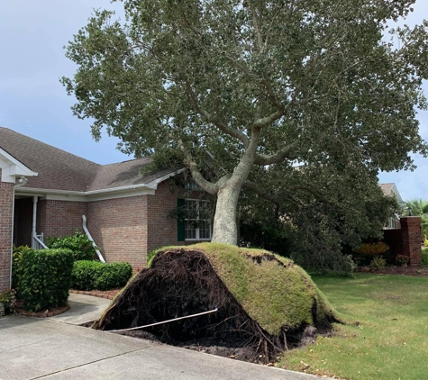 A Cut Above Tree Experts - Wilmington, NC