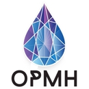 OPMH Project - Vape Shops & Electronic Cigarettes