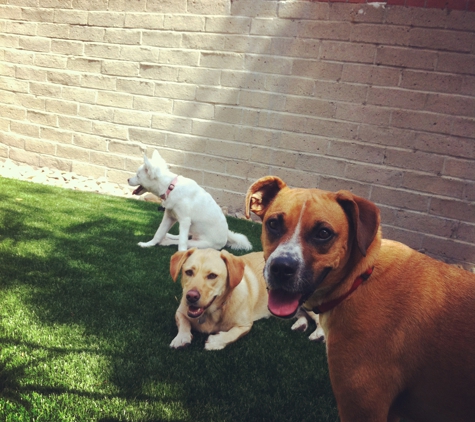 Home Away From Home K9 Care - San Diego, CA