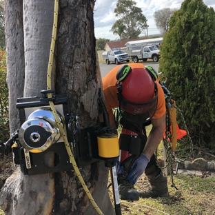 Central Coast Tree Removal - Kanwal, NSW