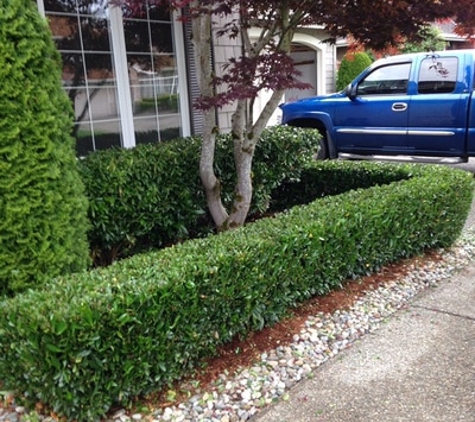 Hawks Landscaping - Everett, WA