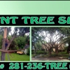 TNT Tree Service gallery