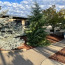 Monkey Business Landscape & Maintenance - Tree Service