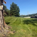 Castile lawn service