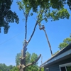 Timber Bros Tree Service gallery