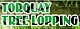 Torquay Tree Lopping - Gardeners