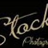 Stocks Photography gallery