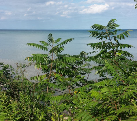 Schlitz Audubon Nature Center - Bayside, WI