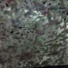 Ocean In Motion Car Wash gallery