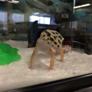 Petco - Pet Stores