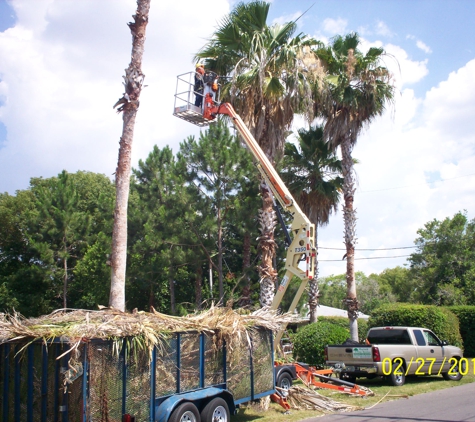 Rey Tree Service LLC - Tampa, FL