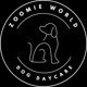 Zoomie World Dog Daycare