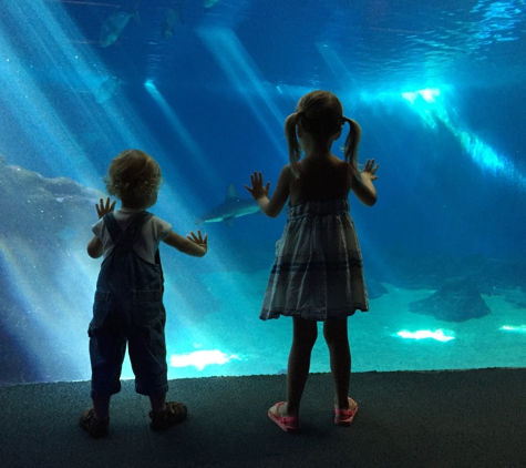 Maui Ocean Center, The Aquarium of Hawaii - Wailuku, HI