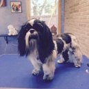 Pabst Pooch Parlor