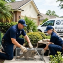 Animal Control & Removal Jacksonville - Pest Control Services