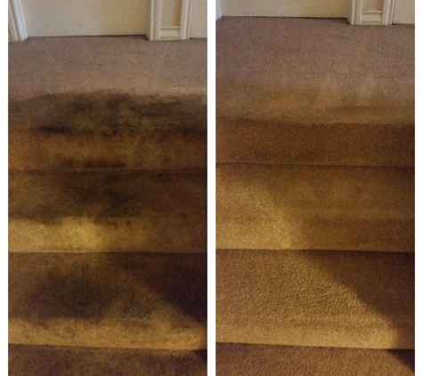 Beyer Carpet Cleaning - San Antonio, TX