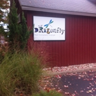 dragonfly kids consignment
