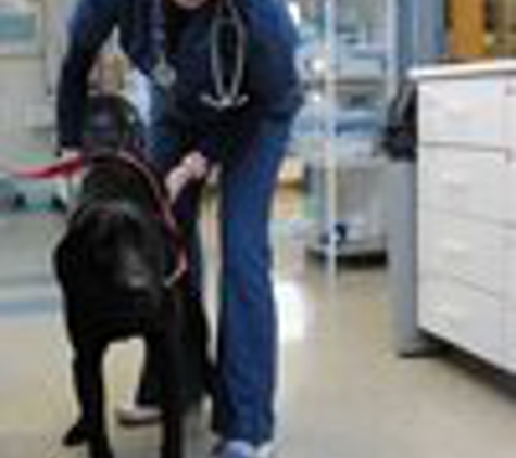 Wisconsin Veterinary Referral Center - Kenosha, WI