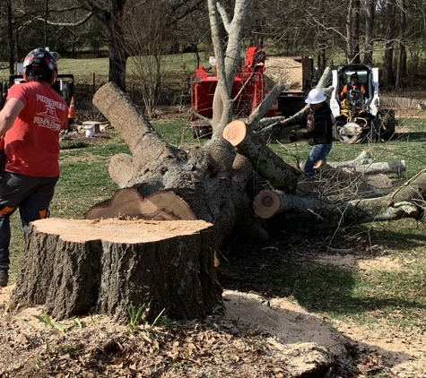 Porterfield Stump & Tree - Watkinsville, GA