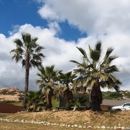 Superior tree service - Tree Service