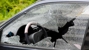 Precision Auto Glass & Power Window Repair - Windshield Repair