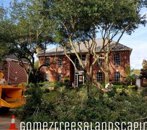 Gomez Trees & Landscaping