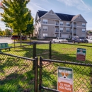 The Point at Manassas - Real Estate Rental Service